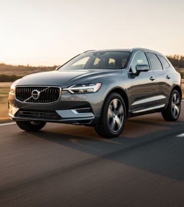 realted-article-image realted-article-image