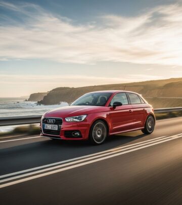 realted-article-image