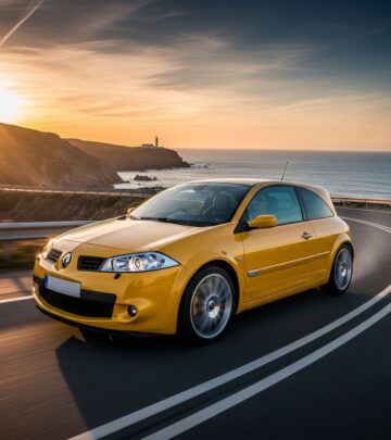 Discover the thrilling performance, sharp handling, and timeless appeal of the Renault Megane RS 225, a benchmark hot hatch from the mid-2000s.